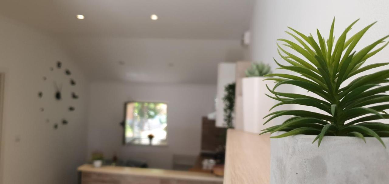 Apartments Marija Vukas Dubrovnik Eksteriør billede