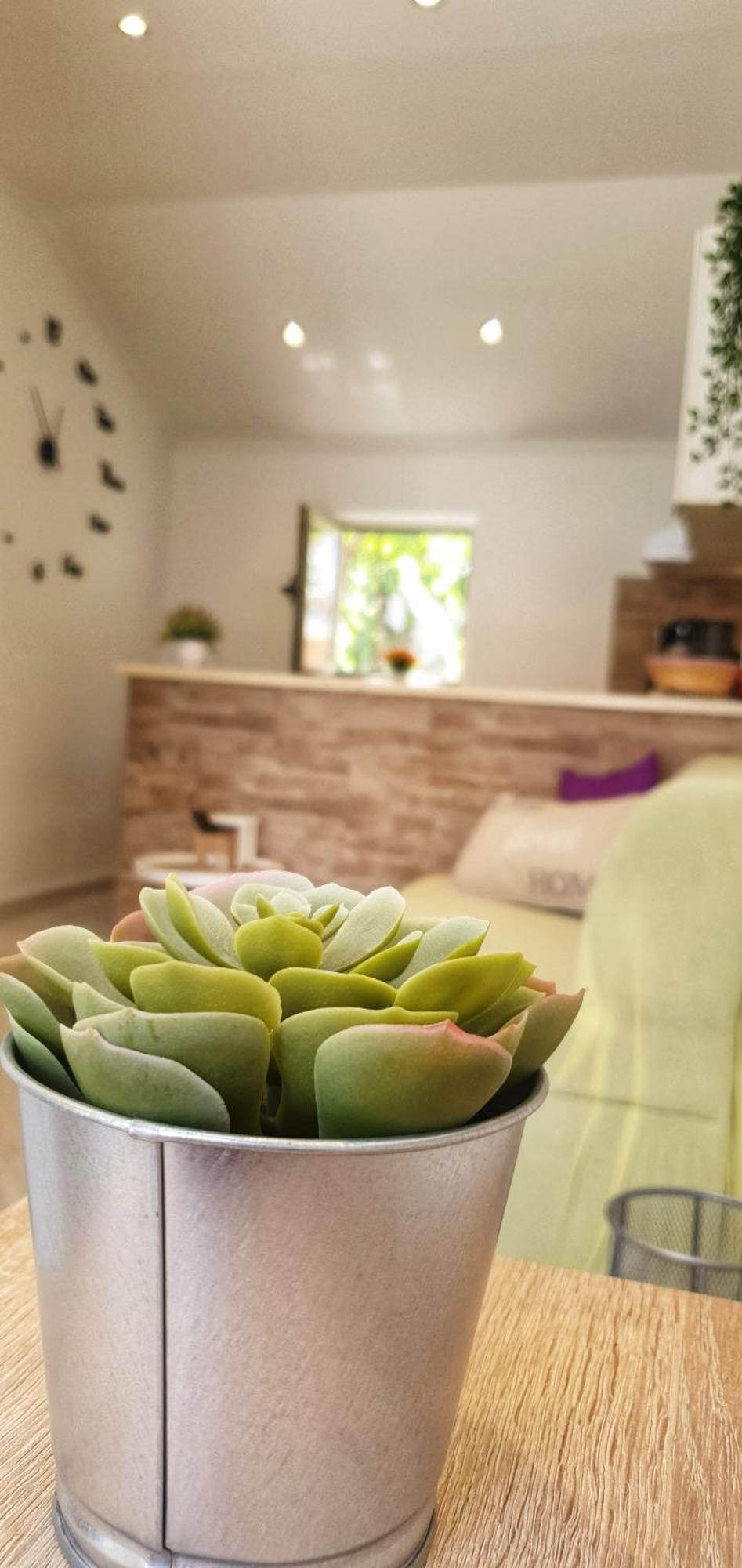Apartments Marija Vukas Dubrovnik Værelse billede